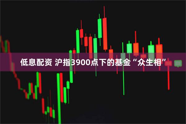 低息配资 沪指3900点下的基金“众生相”