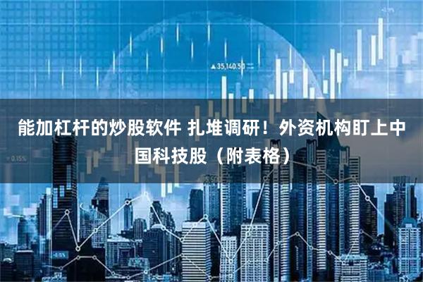 能加杠杆的炒股软件 扎堆调研！外资机构盯上中国科技股（附表格）