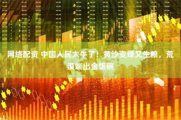 网络配资 中国人民太牛了！黄沙变绿又生粮，荒漠端出金饭碗